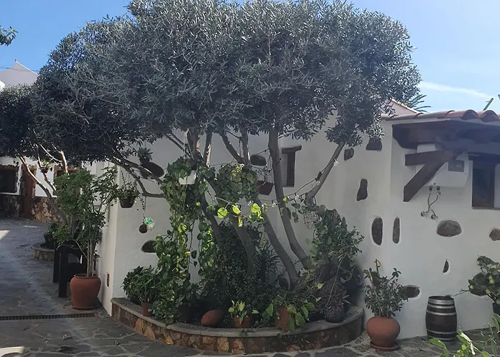 La Gallania De Papa Pepe *